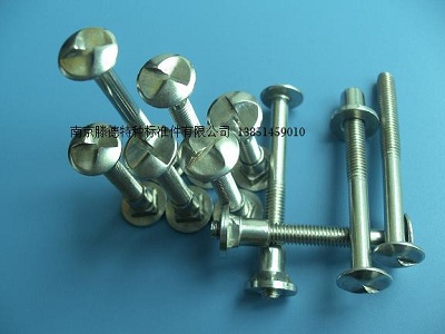 護(hù)欄防盜螺絲